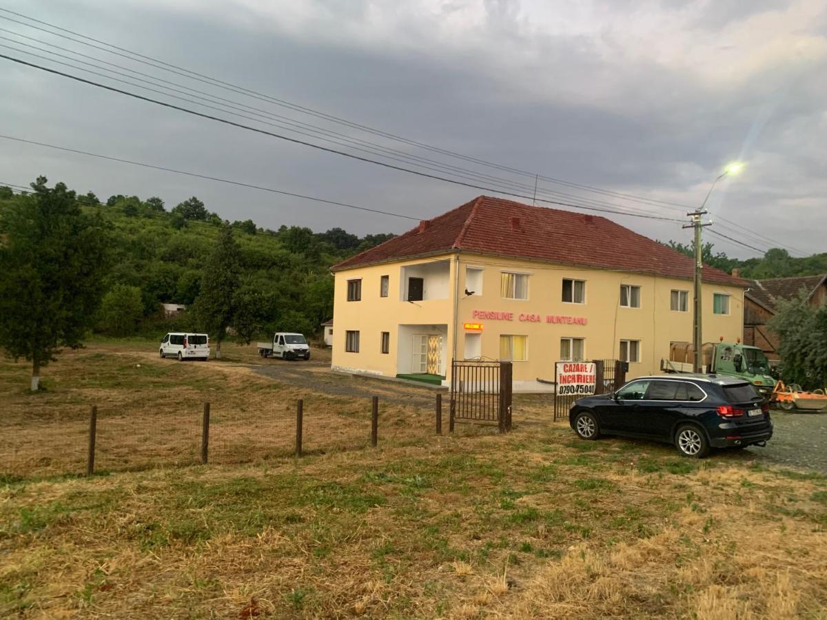 Pensiune Casa Munteanu Baratca Luaran gambar